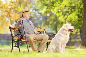 Gospodarka senioralna