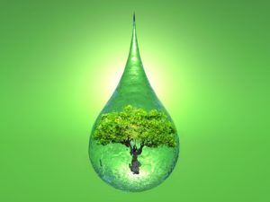 a tree inside a drop of water on green background