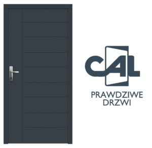 drzwi aluminiowe