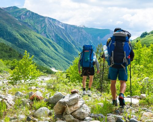 jednodniowe wycieczki