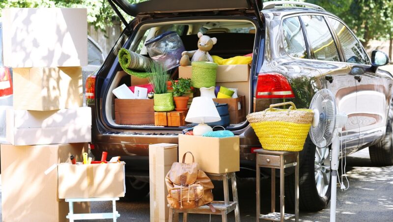 organizer bagażnika