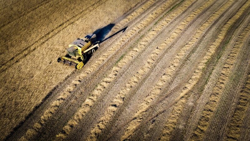 ukraińskie rolnictwo